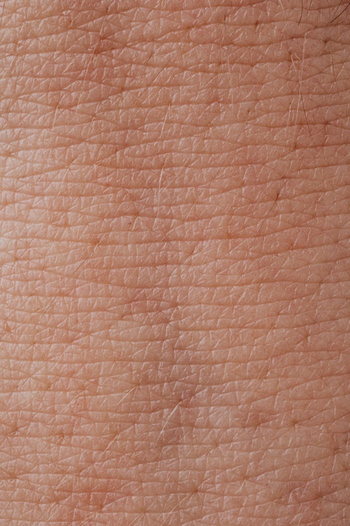 Detailed macro shot of human skin texture highlighting pores and epidermis.