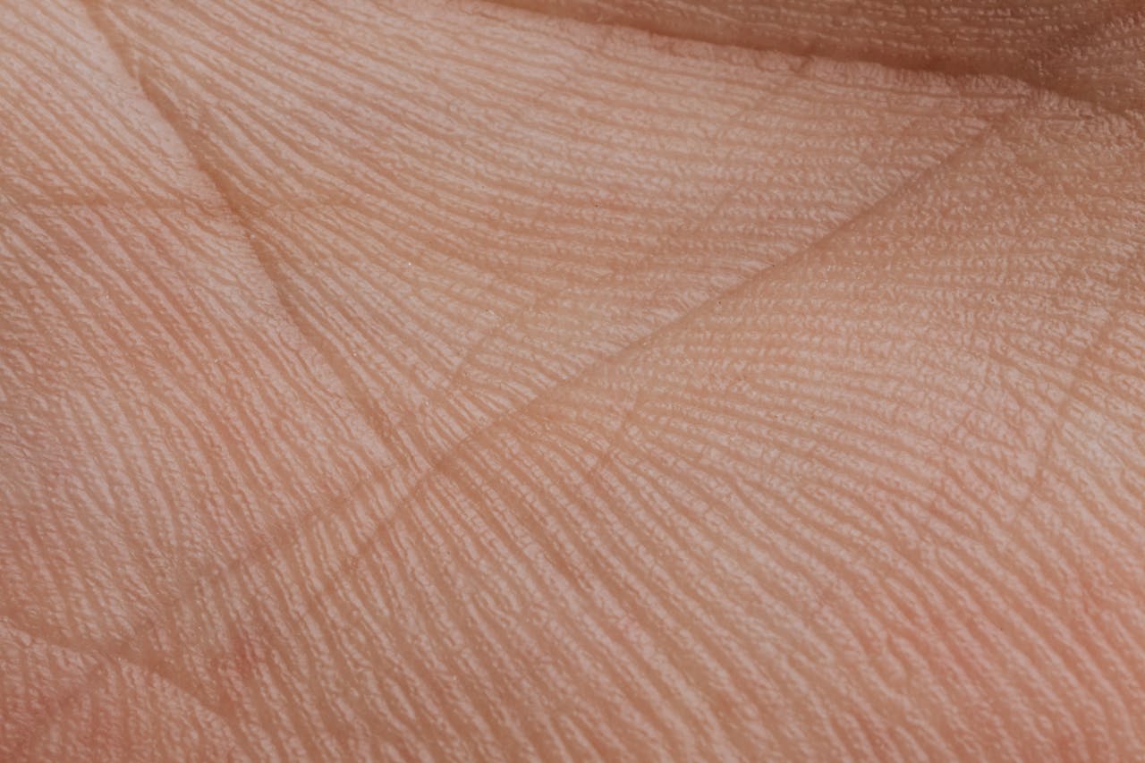 Detailed macro image of human palm skin, highlighting texture and lines.
