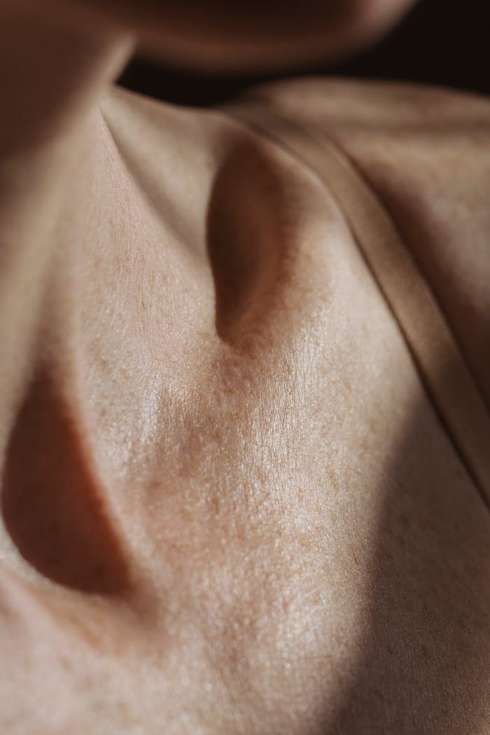 High-resolution close-up of a woman's collarbone and skin texture in natural light.